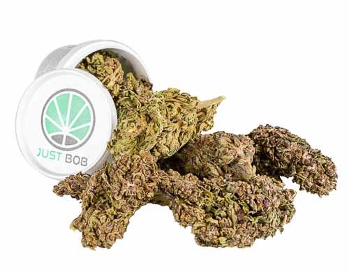 Krug Cannabis cbd Blüten Justbob Purple GG#