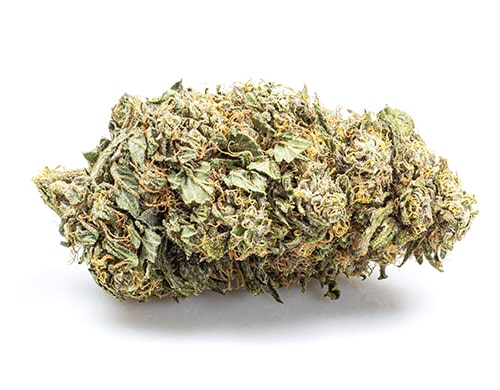 CBD Blüten der Sorte Zkittles CBG