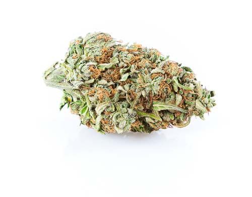 CBD Blüten der Sorte Zkittles CBG
