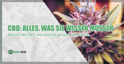 WAS IST CBD, WIE WIRD ES GENUTZT UND WARUM?