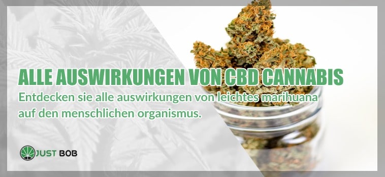 Alle Auswirkungen von CBD-blüten