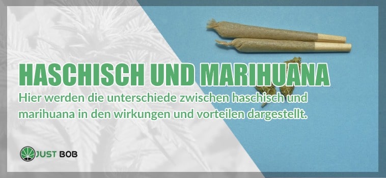 Haschisch und Marijuana CBD