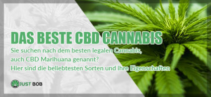 Das beste CBD Cannabis Blüte online