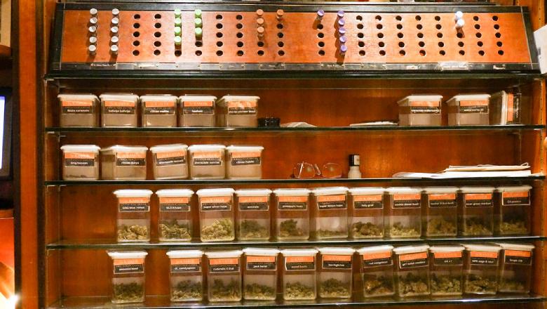 Warum sollte man CBD-Cannabis konsumieren: die positiven Auswirkungen