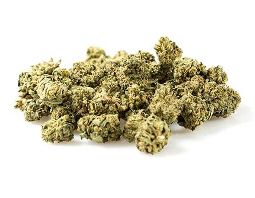 CBD Österreich der Sorte Bubblegum