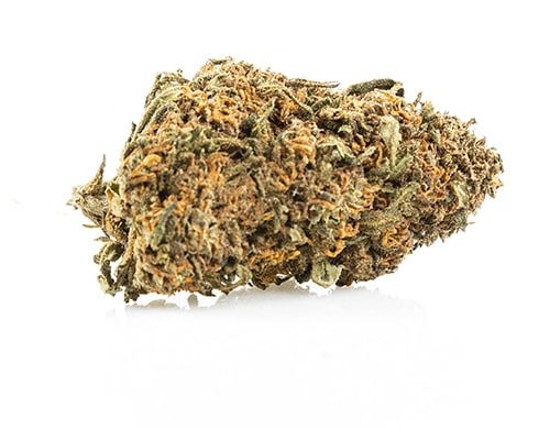 CBD blüten der Sorte Sweet Berry