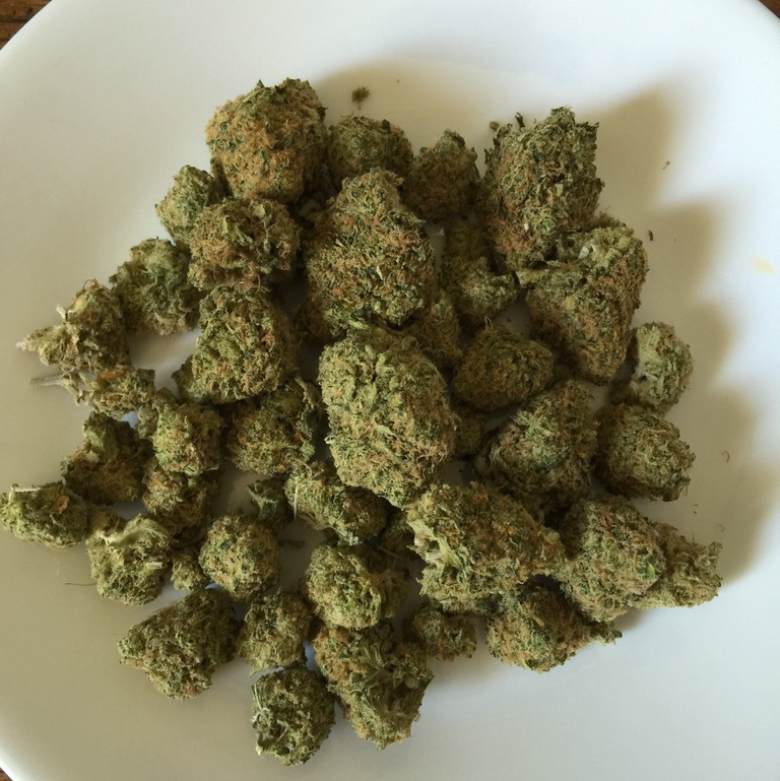 THC und CBD: Was sind die Unterschiede?