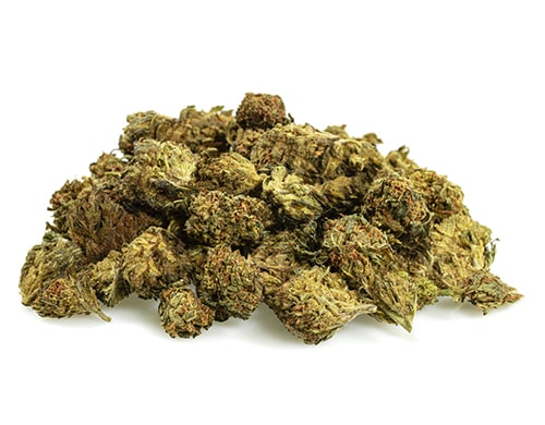 GG#4-cbd-boost-cbd-gras-klein