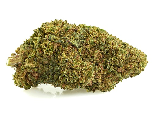 GG#4-cbd-boost-small-cbd-blueten