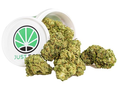 Krug CBD Blüten der Sorte Royal GG#4