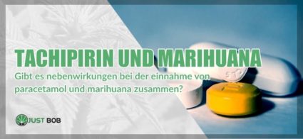 Paracetamol und Marihuana: Kann man sie gleichzeitig einnehmen?