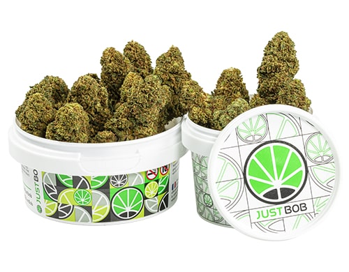kann-GG#4-cbd-boost-cannabis-cbd