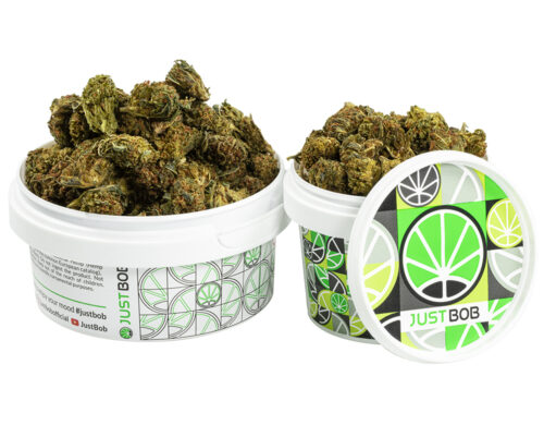 GG4 cbd boost cannabis cbd klein