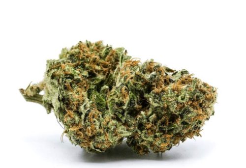 Die Cbd White Widow