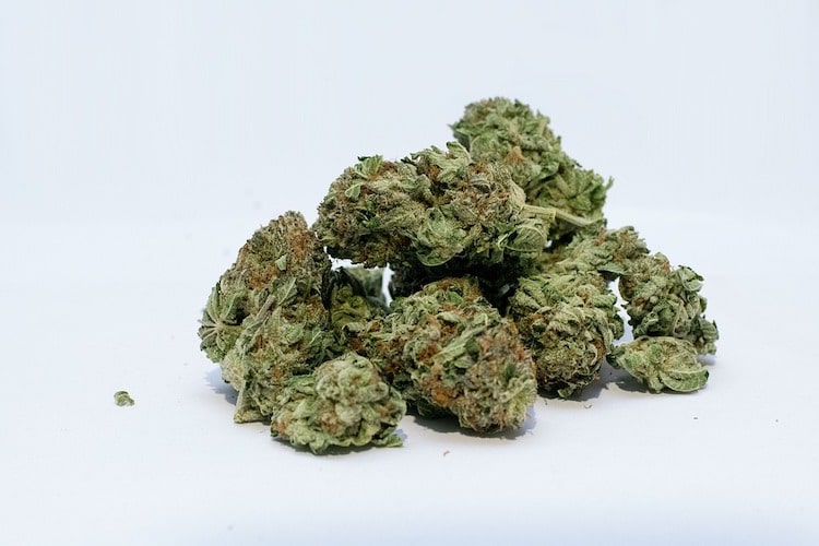 Was sind die besten Arten von Cannabis