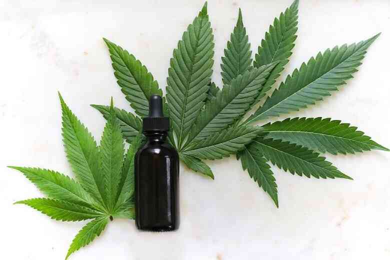 Cannabis CBD und CBD-Öl 