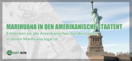 Amerikanische Staaten, in denen Marihuana legal ist