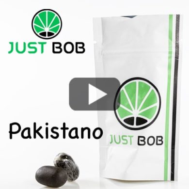 pakistano-CBD-legal-hash-with-high-CBD