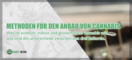 Methoden-für-den-Anbau-von-Cannabis