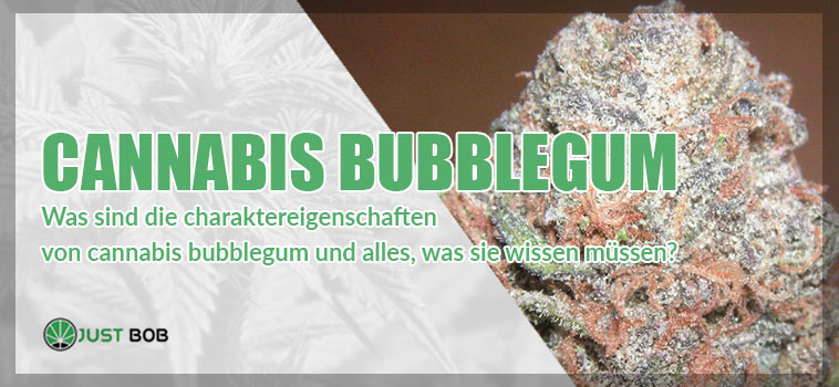 Cannabis BubbleGum