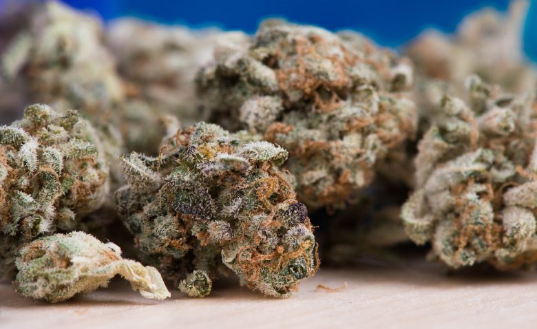 therapeutischen-Wirkungen-von-CBD-Cannabis