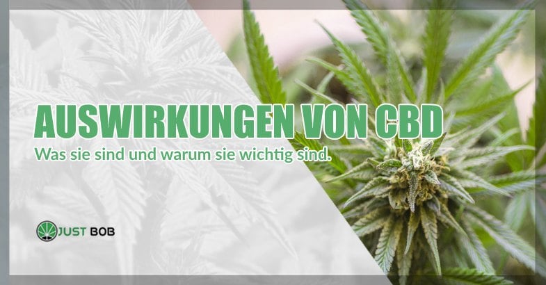 Auswirkungen von CBD