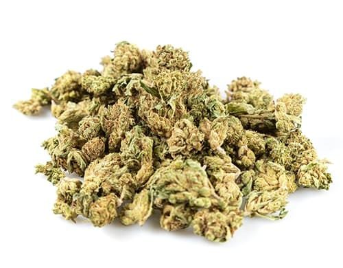 CBD Österreich der Sorte Bubblegum