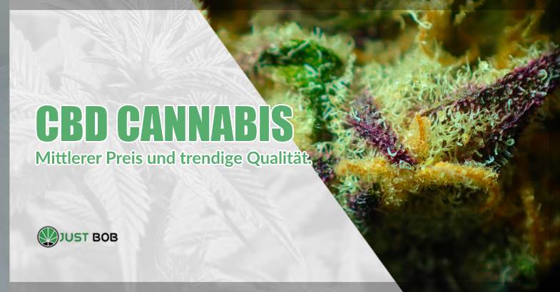 CBD Cannabis mittlerer preis und trendige qualitaet