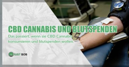 CBD Cannabis und freiwillige blutspenden