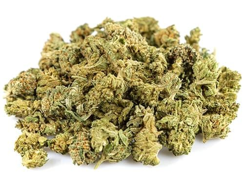 California Haze Cannabis Blüte