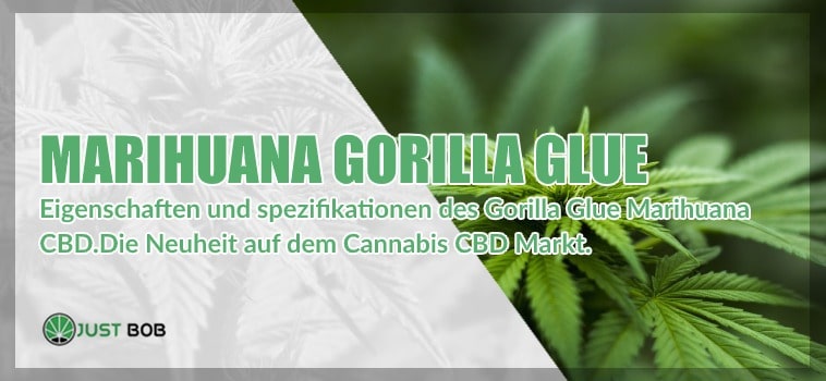 Marihuana Gorilla Glue die neuheit auf dem cannabis cbd market