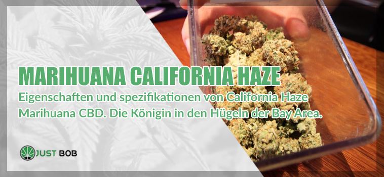 Legalem hanf California Haze