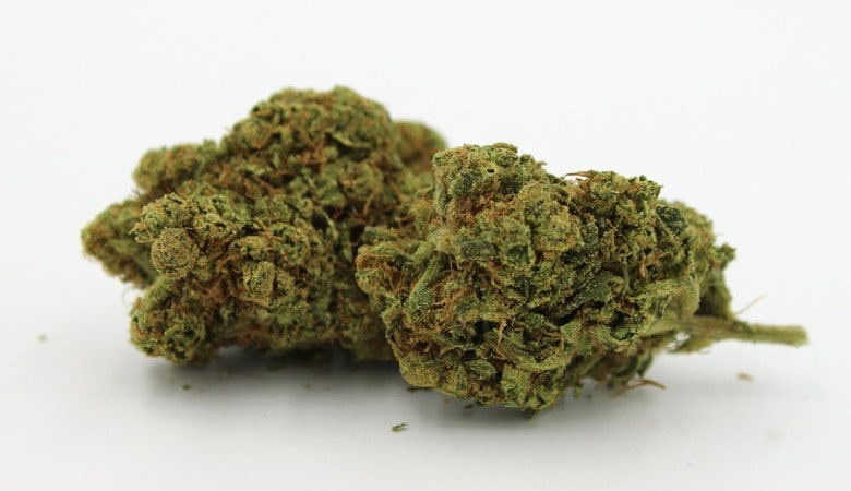 California Haze CBD
