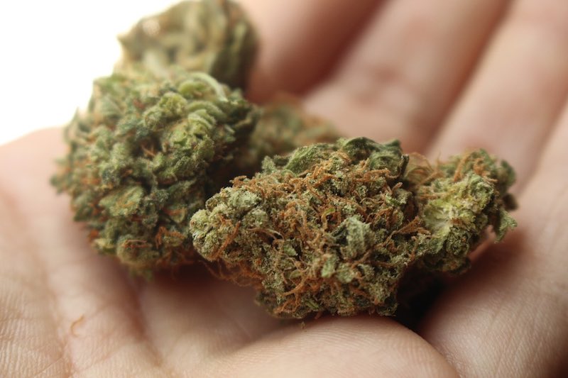 CBD und CBDA: Was sind die Unterschiede?