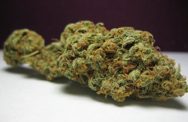 Geschmack, Aroma und Wirkung von Mango Haze
