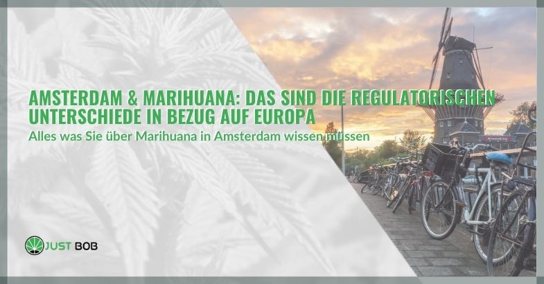 Amsterdam & Marihuana: Das sind die regulatorischen Unterschiede in Bezug auf Europa