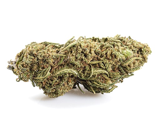 CBD Blüten der Sorte Lemon Cheese