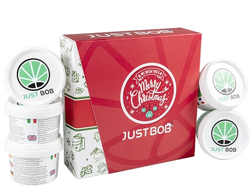 CBD Bluten Cannabis Xmas Platinum sorten