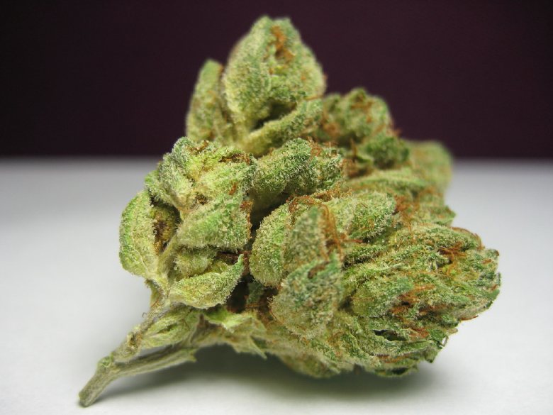 Die Geschichte von Kush Marihuana