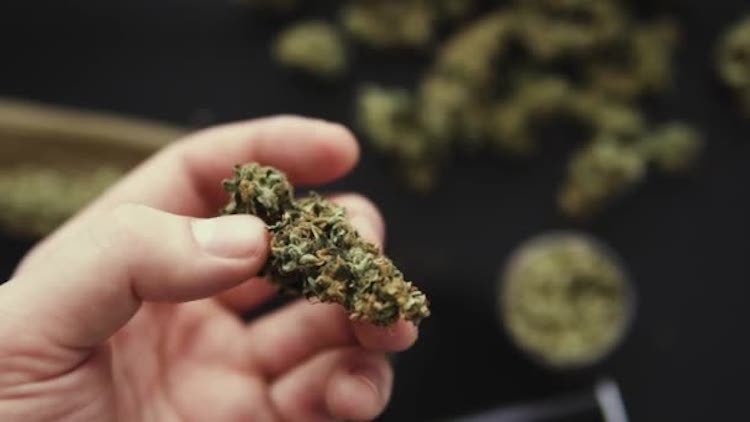 CBD beruhigt die Nerven