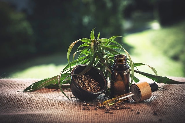 CBD Cannabisöl