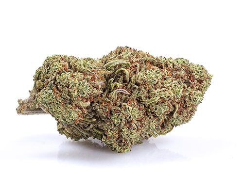 California Haze Cannabis Blüte
