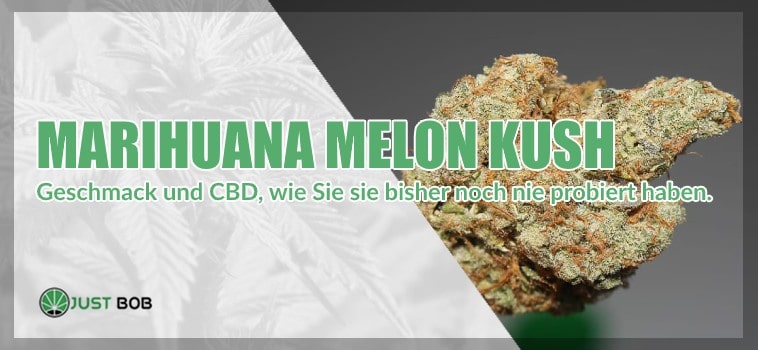 CBD Cannabis Melon Kush
