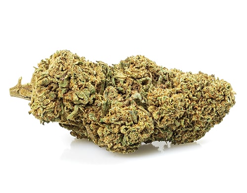 melon kush cbd blueten cannabis