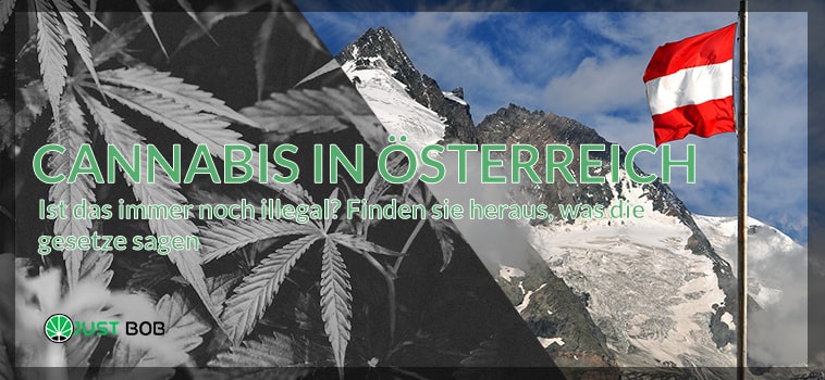 Kauf und Lieferung von Cannabis in österreich
