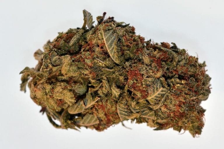 CBD Master Kush