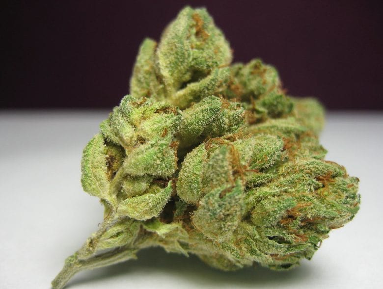 Der Ursprung von Melon Kush Marihuana
