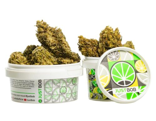 CBD Blüten des AK47 CBD BOOST in einem weißen Behälter
