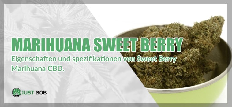 CBD Marihuana Sweet Berry