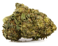 ak47 cbd boost small cbd gras